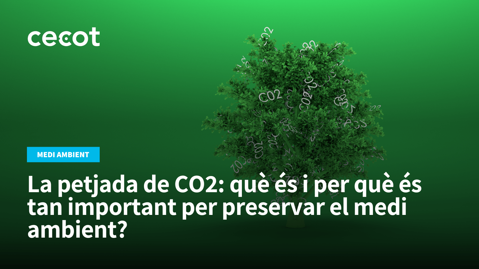 La petjada de CO2: què és i per què és tan important per preservar el medi ambient?