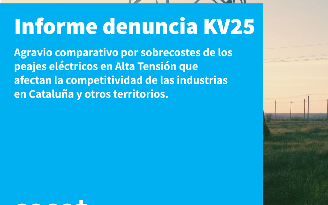 Informe de denuncia kV25