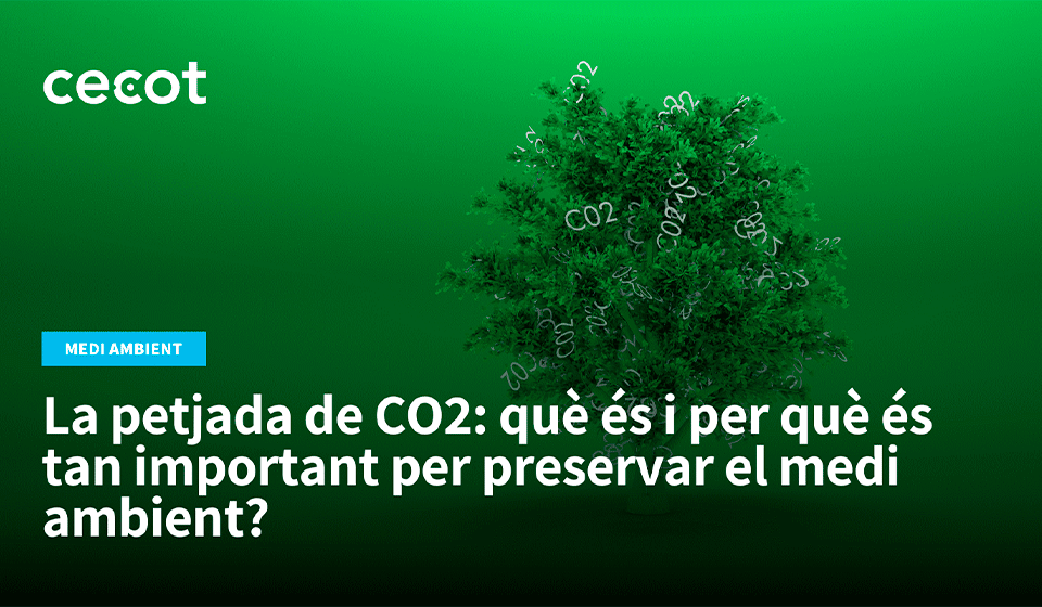 La petjada de CO2: què és i per què és tan important per preservar el medi ambient?