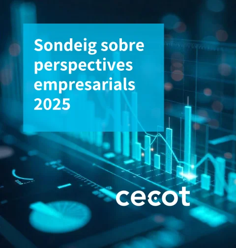 sondeig sobre perspectives empresarials 2025l