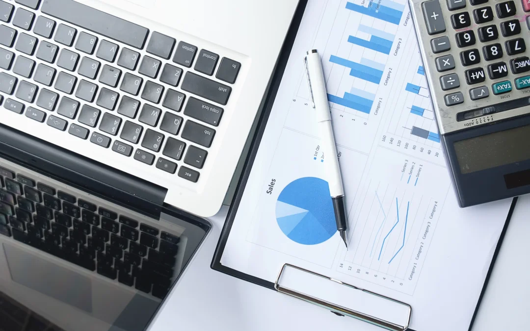 Comptabilitat informatitzada
