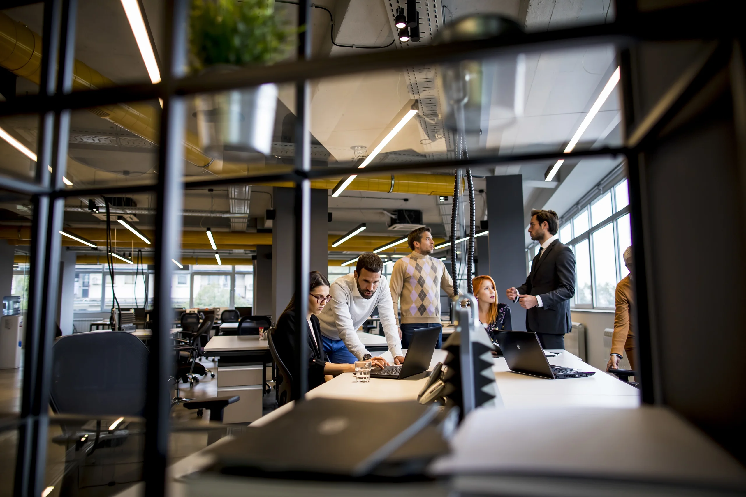 group of young business people in the modern office group of young business people in the modern office