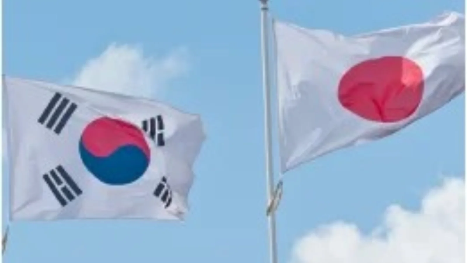 plantilla butlletí cecot (4)