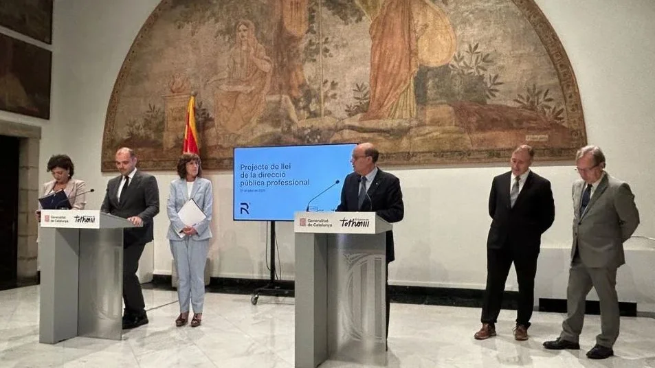 llei direcció pública professional