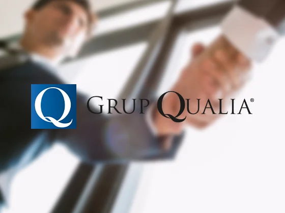 Grup Qualia