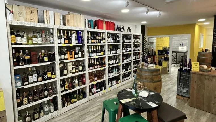 reempresa vins