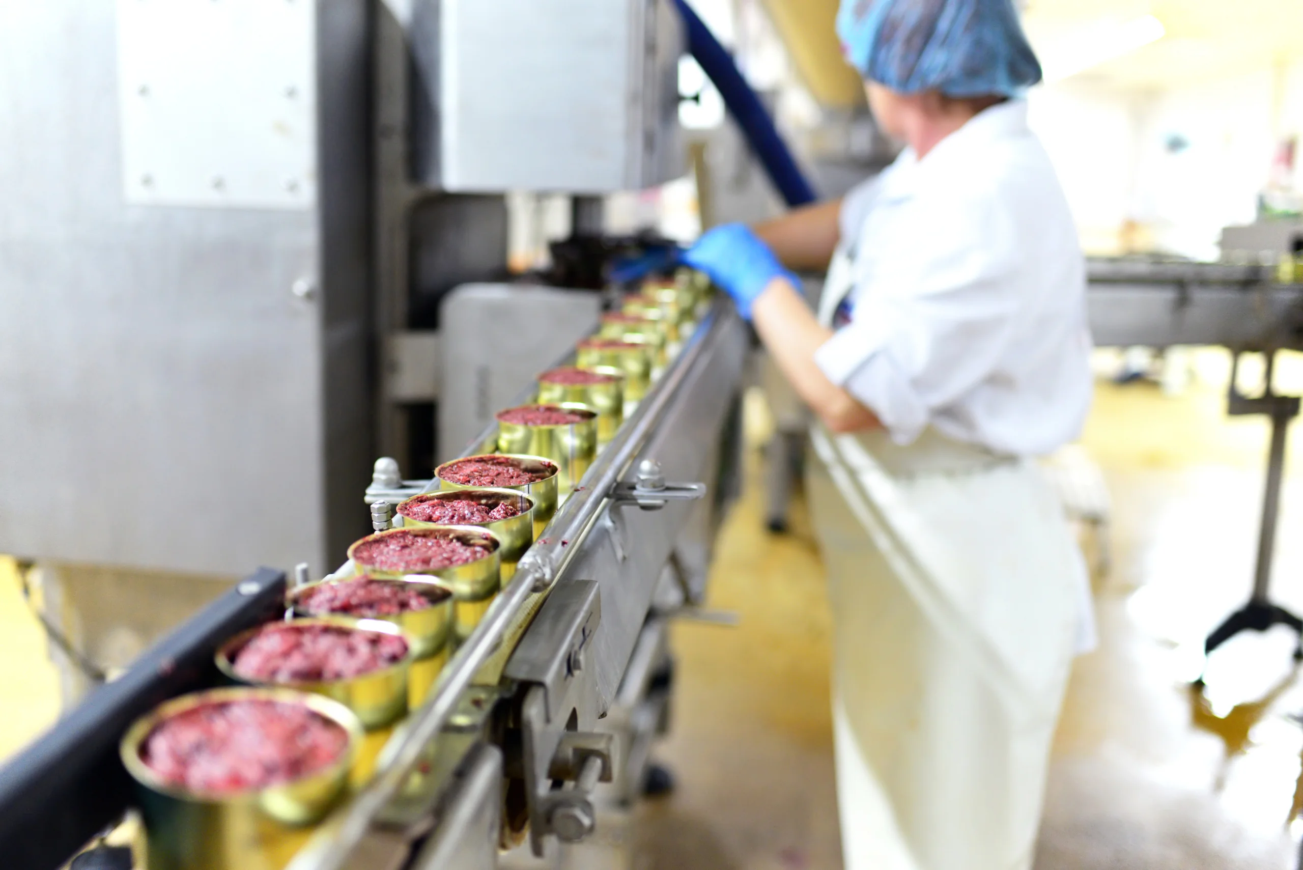 produktion von fertigessen dosenfleisch in einer industriellen f produktion von fertigessen dosenfleisch in einer industriellen f