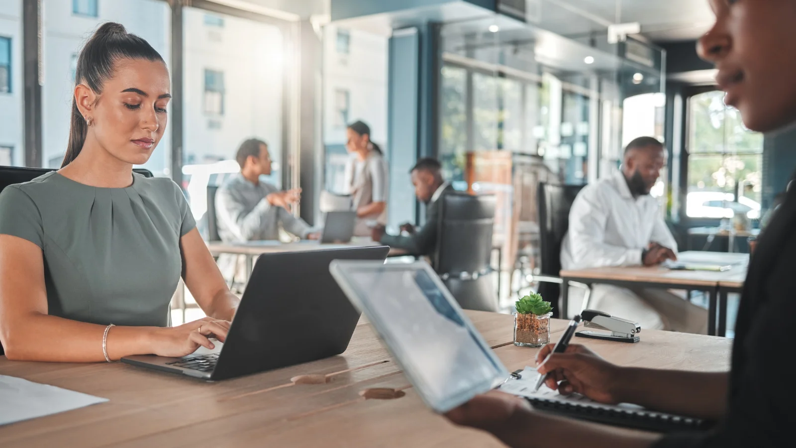 imatge dp manresa imatge dp manresa