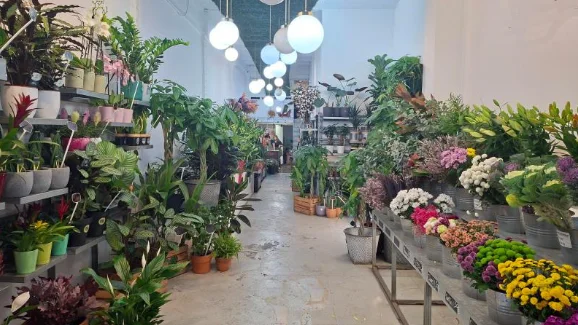 reempresa marketplace empresa venda flors i plantes