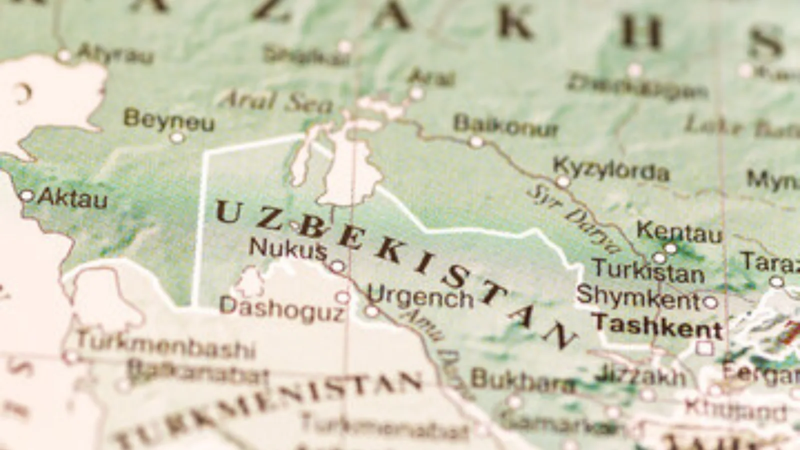 plantilla butlletí cecot (28) plantilla butlletí cecot (28)