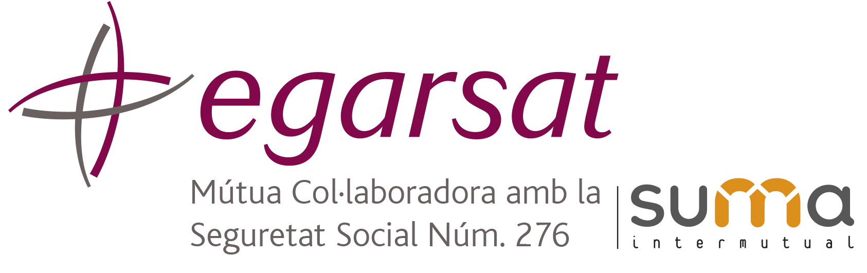 logo egarsat suma cat