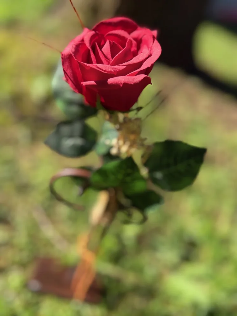 5173d228 e5aa 4f20 b995 6dab0c3c59b1