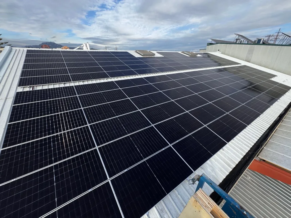 5dd5af07 anglesol solanellas