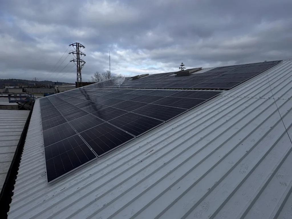 a74926ce anglesol solanellas