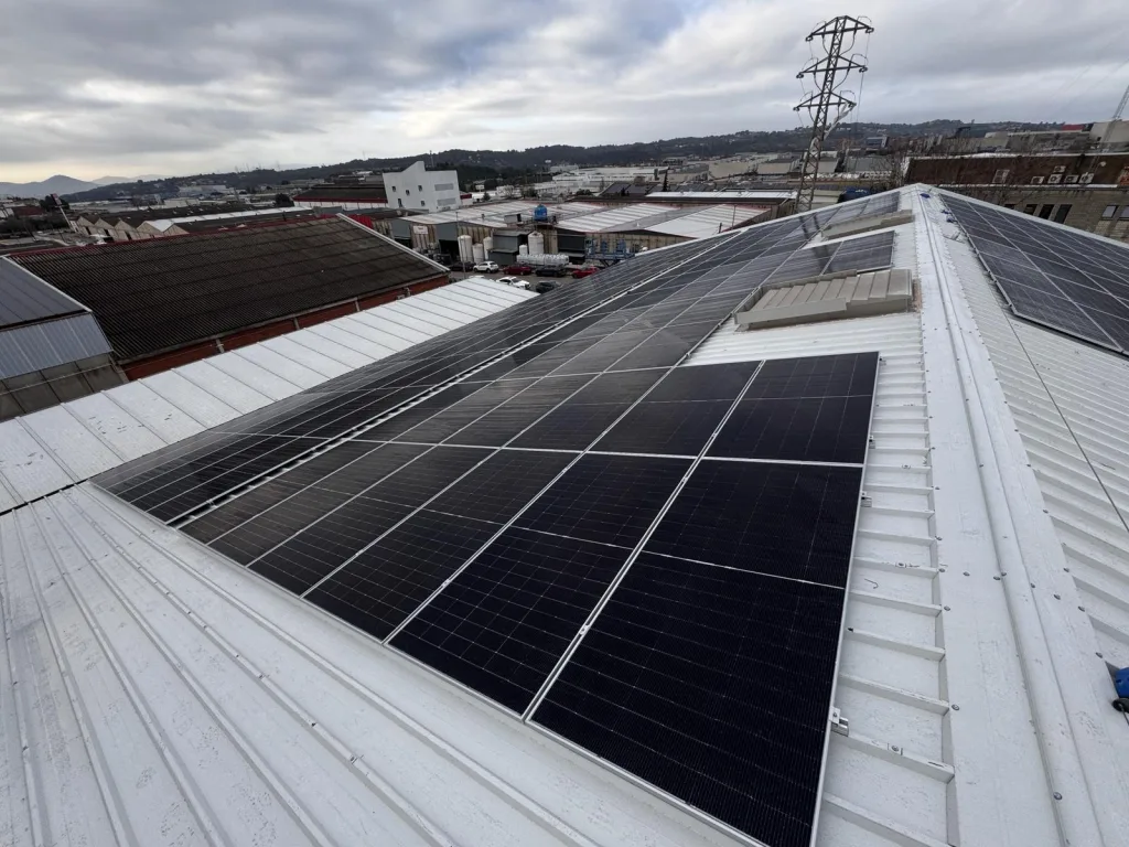 e7b5ff51 anglesol solanellas