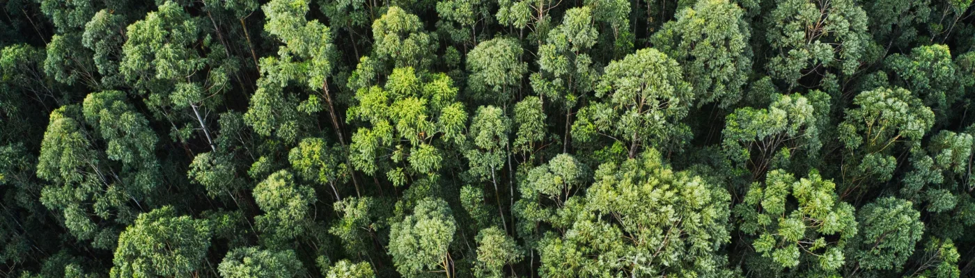 Calcula la petjada de CO₂ de la teva empresa
