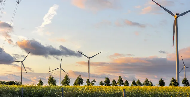 Calcula la petjada de CO₂ de la teva empresa